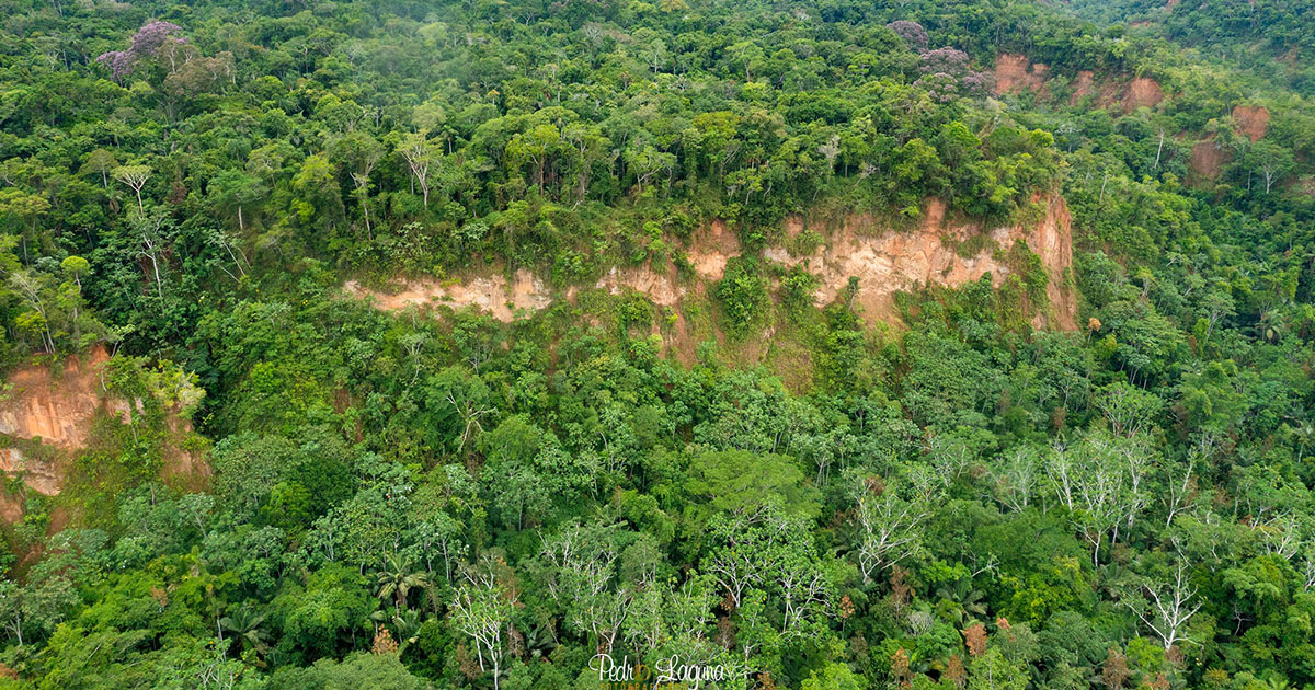 Parques nacionales de Bolivia (Foto: Pedro Laguna) 